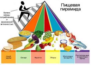 Food pyramid of healthy nutrition, correct for weight loss, using a hand