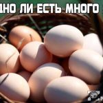 Почему нельзя есть много яиц?