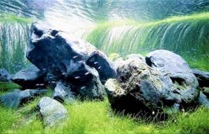 подводные камни