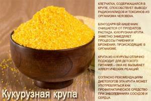 Polenta corn grits. Benefits and harms of losing weight, what it is, calorie content per 100 grams 