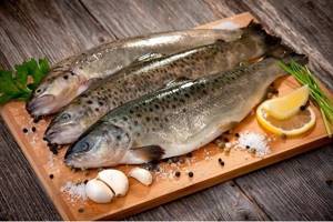 Healthy fish for baking