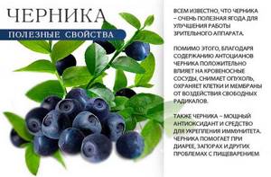 Beneficial properties of blueberries
