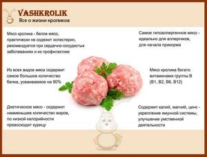 Useful properties of rabbit meat