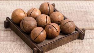 Beneficial properties of macadamia nut for men and rules for its use