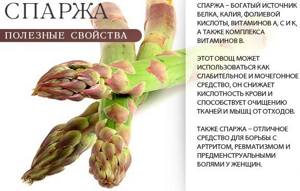 Useful properties of asparagus