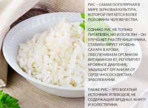 Nutrients contained in rice