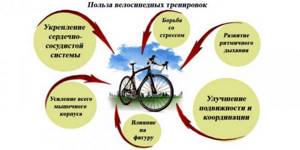 Польза езды на велосипеде