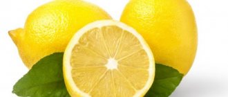 Польза и пищевая ценность лимона