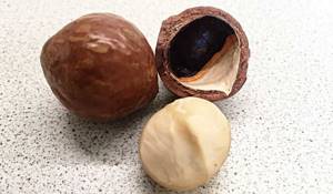 Benefits of macadamia nuts