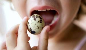 The benefits of quail eggs, raw and boiled