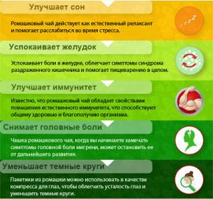 Benefits of chamomile infusion