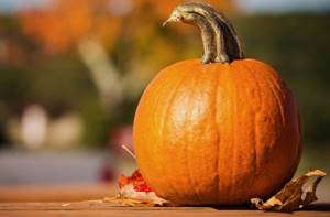 Benefits of pumpkin for the human body