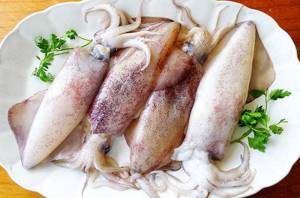 benefits of boiled squid