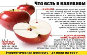 Польза яблок