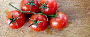 tomato diet for weight loss options for delicious diets