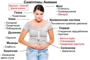 Increased appetite. Causes for women before menstruation, during ovulation, illness, pregnancy. Signs, what to do 