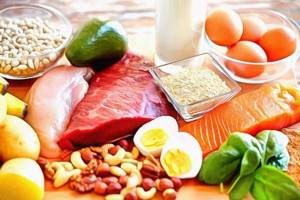 Protein diet rules for 2 weeks