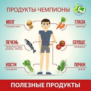 Правильное питание: продукты и диеты для поддержания здоровья