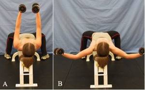 Correct execution of dumbbell flyes on a horizontal bench