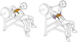 Correct execution of the incline bench press