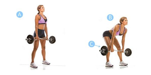 When lowering the barbell, the bar should almost slide over your legs