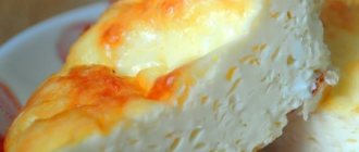 Cooking a fluffy omelet using the best recipes