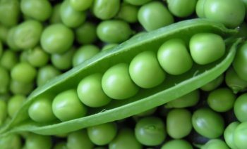 Use of canned green peas in cooking