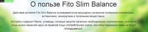 Принцип действия Fito Slim Balance