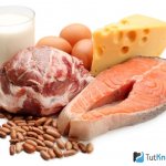 Продукты-источники белка