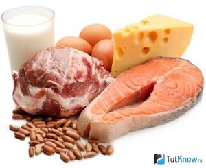 Protein Source Products