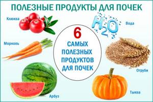 Products that are good for the kidneys and harmful during pregnancy, diabetes, pyelonephritis, inflammation, stones