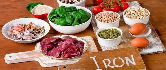 Foods containing large amounts of iron