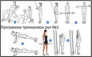 Arm training program No. 2 exercise atlas