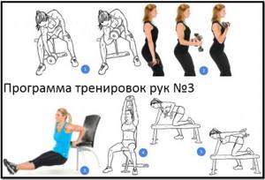 Arm training program No. 3 exercise atlas
