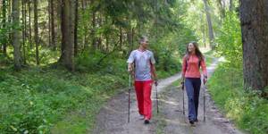 Walking with poles along a forest road
