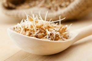 Sprouted wheat is very useful as a side dish