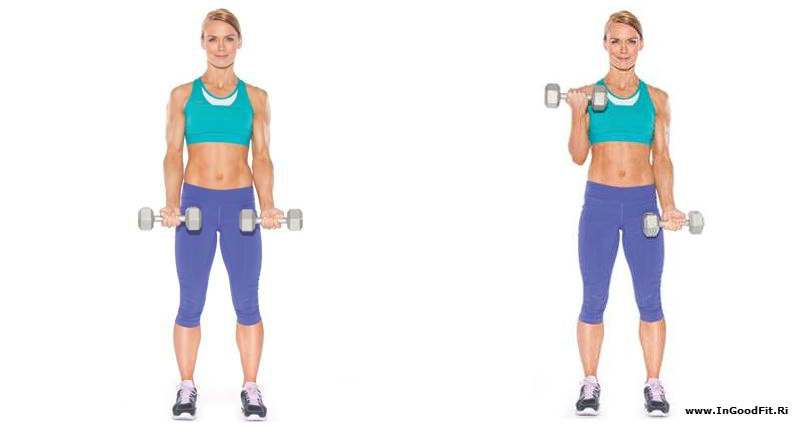 work with dumbbells. exercises to lose weight on your arms 