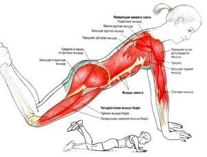 Spinal stretch. Exercises for the back, yoga, exercise equipment for hernia, osteochondrosis, scoliosis 