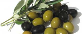 difference between olives and olives