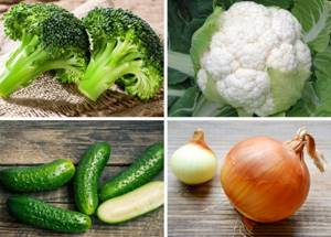 Разрешенные овощи к употреблению