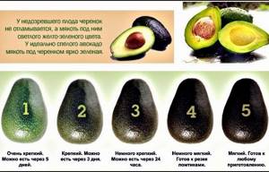 Рецепты блюд из авокадо. Как приготовить быстро и вкусно для похудения, снижения холестерина, вегетарианцев, легкие на завтрак