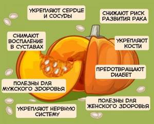Pumpkin Recipes for Weight Loss