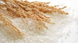 rice - benefits and harm
