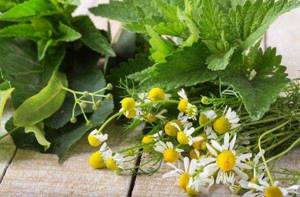 chamomile tea benefits and harms for weight loss