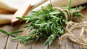 Rosemary for weight loss