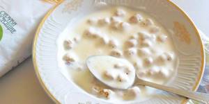 With homemade yogurt in a plate
