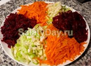 Panicle salad “Superfit – colon cleansing”