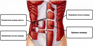 The most effective abdominal exercises for men video