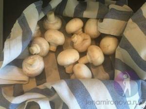 champignons on a towel