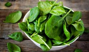 Spinach contains large amounts of lutein, which plays an important role in the physiology of vision.